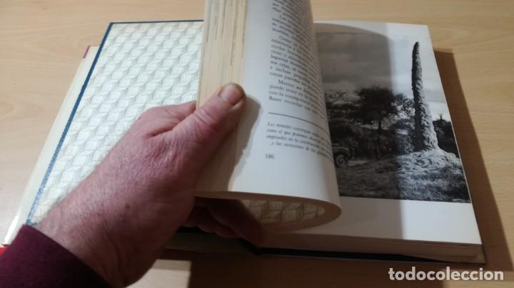 Libros de segunda mano: EL MUNDO VIVIENTE - ANTONIO JONCH - DANAE K602 - Foto 18