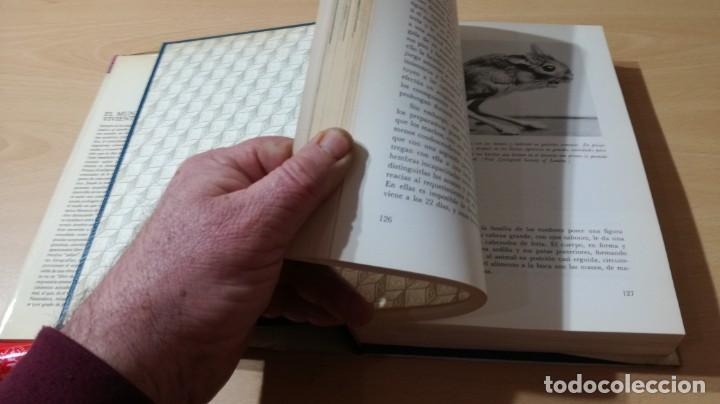 Libros de segunda mano: EL MUNDO VIVIENTE - ANTONIO JONCH - DANAE K602 - Foto 20