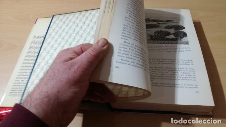 Libros de segunda mano: EL MUNDO VIVIENTE - ANTONIO JONCH - DANAE K602 - Foto 21