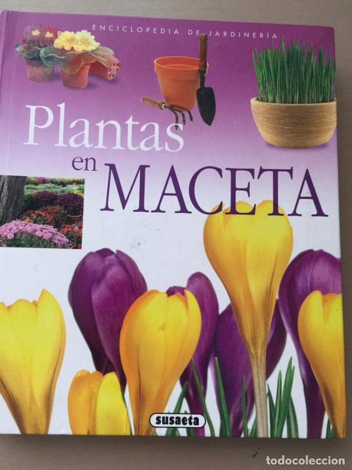 Libros de segunda mano: Plantas en maceta - Jorge Echag&uuml;e - Foto 1