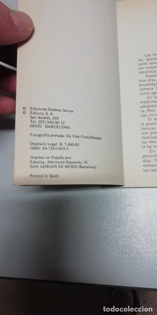 Libros de segunda mano: HIERBAS QUE CURAN EDMUN CHESSI - Foto 2