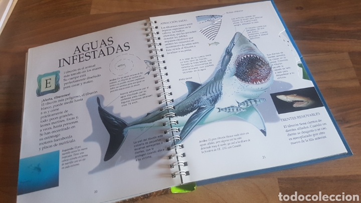 Libros de segunda mano: animales peligrosos SM desplegable - Foto 3