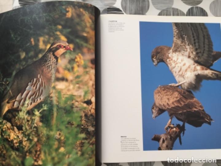 Libros de segunda mano: 12 naturalezas mediterr&aacute;neas. Bancaja - Foto 2