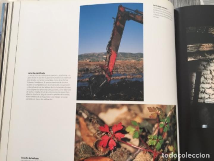 Libros de segunda mano: 12 naturalezas mediterr&aacute;neas. Bancaja - Foto 4