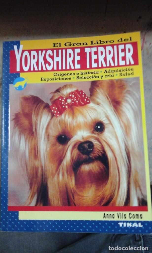 Libros de segunda mano: EL GRAN LIBRO DEL YORKSHIRE TERRIER - Foto 1