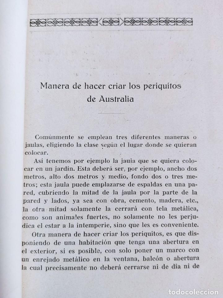 Libros de segunda mano: CAT&Aacute;LOGO GENERAL DE AVES Y P&Aacute;JAROS DE CANTO Y LUJO. 1930? - Foto 3