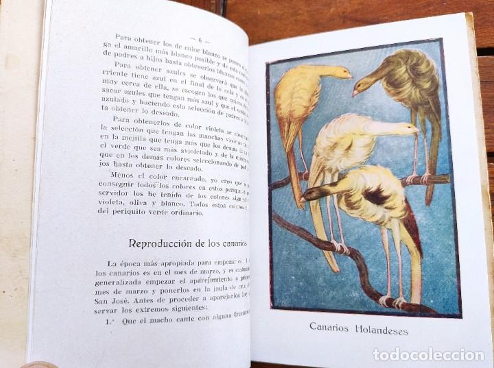 Libros de segunda mano: CAT&Aacute;LOGO GENERAL DE AVES Y P&Aacute;JAROS DE CANTO Y LUJO. 1930? - Foto 4