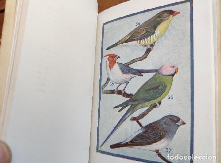 Libros de segunda mano: CAT&Aacute;LOGO GENERAL DE AVES Y P&Aacute;JAROS DE CANTO Y LUJO. 1930? - Foto 5