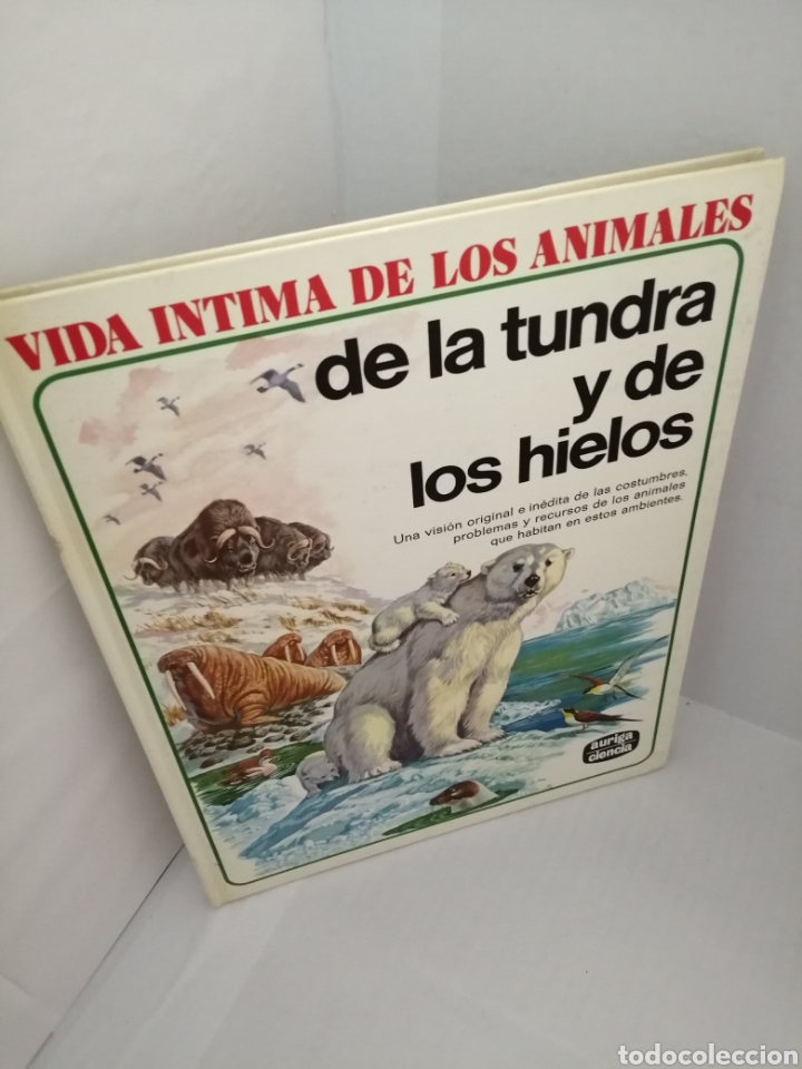 vida intima de los animales de la tundra y de l - Comprar Libros de