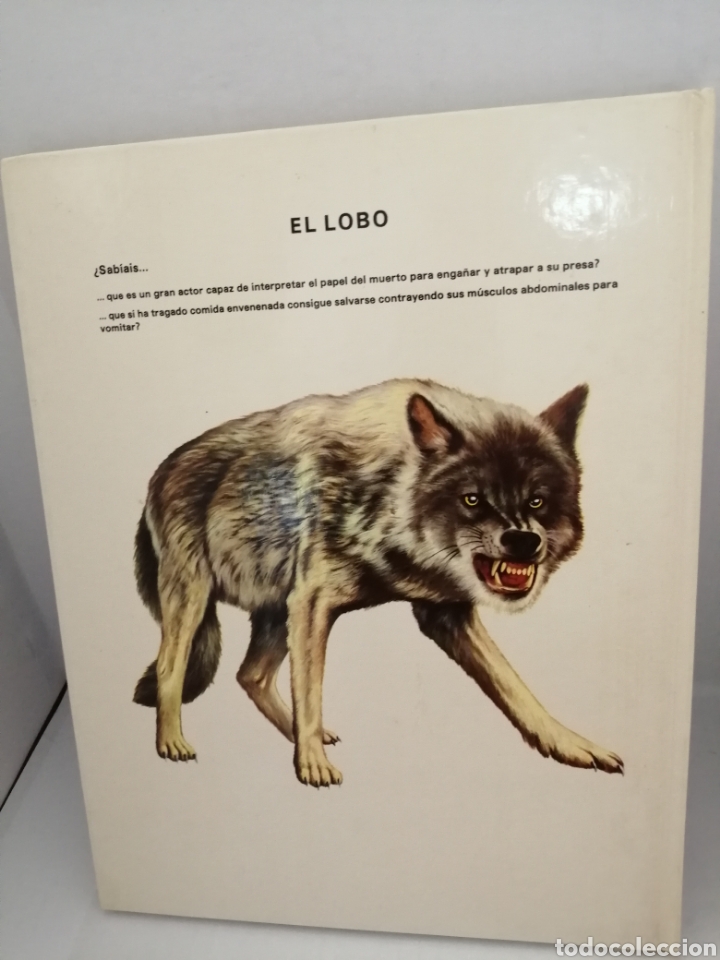 Libros de segunda mano: Vida Intima De Los Animales De Los Llanos Y Montañas De Europa - Foto 2 - 210554346