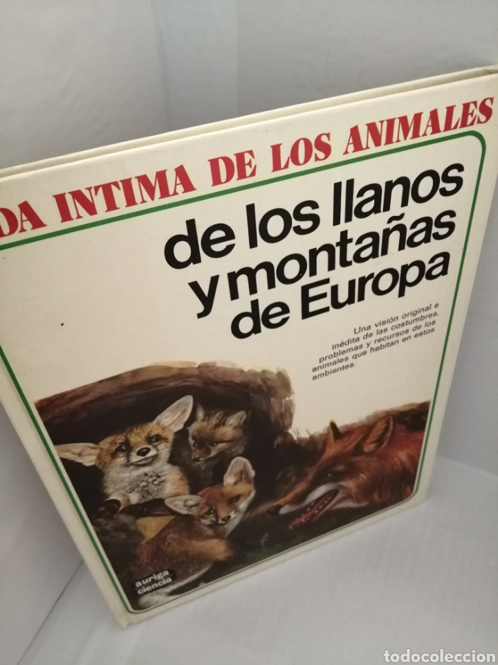 Libros de segunda mano: Vida Intima De Los Animales De Los Llanos Y Montañas De Europa - Foto 6 - 210554346