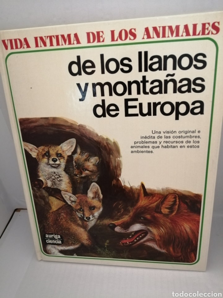 Libros de segunda mano: Vida Intima De Los Animales De Los Llanos Y Montañas De Europa - Foto 1 - 210554346