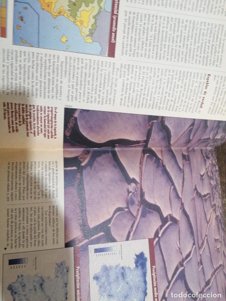 Libros de segunda mano: Desertification en Espa&ntilde;a. Icona - Foto 2