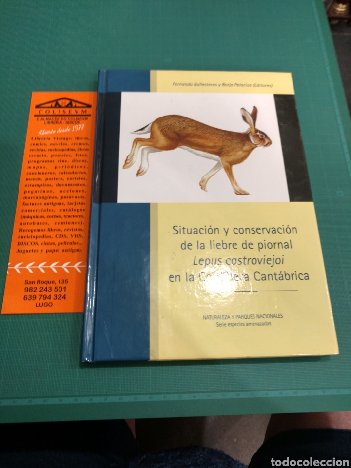 Libri di seconda mano: Situaci&oacute;n y conservaci&oacute;n de la liebre de Piornal .Serie especies amenazadas