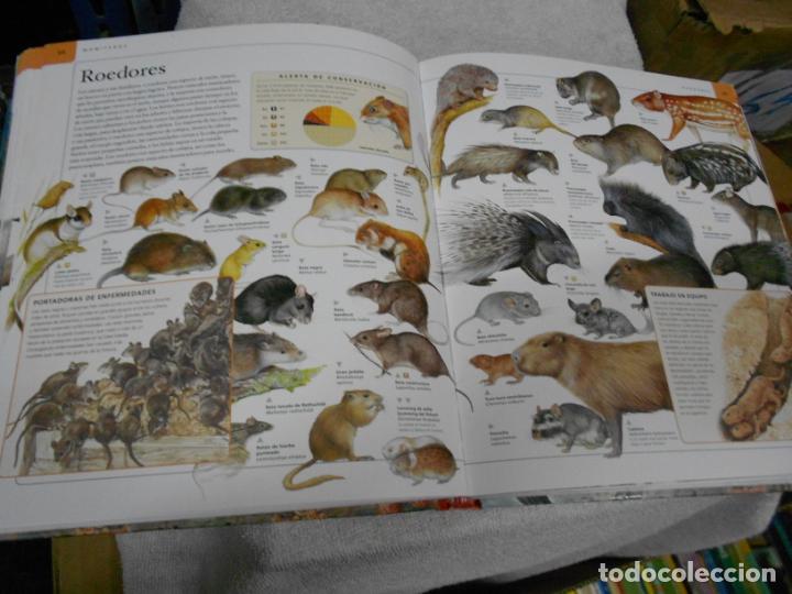 Libros de segunda mano: GRAN VOLUMEN - ENCICLOPEDIA DE LOS ANIMALES - Foto 2