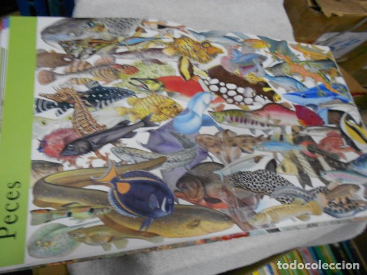 Libros de segunda mano: GRAN VOLUMEN - ENCICLOPEDIA DE LOS ANIMALES - Foto 3