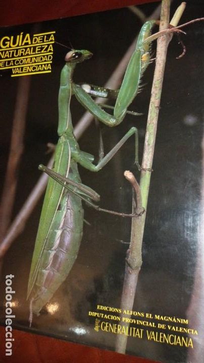 Libri di seconda mano: GUIA DE LA NATURALEZA DE LA COMUNIDAD VALENCIANA.1&ordf; 1988, 662 PP.TELA CON SOBRECUBIERTA,30X23