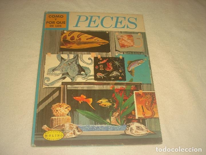 Libros de segunda mano: COMO Y POR QUE DE LOS PECES N. 20. ED.MOLINO - Foto 1
