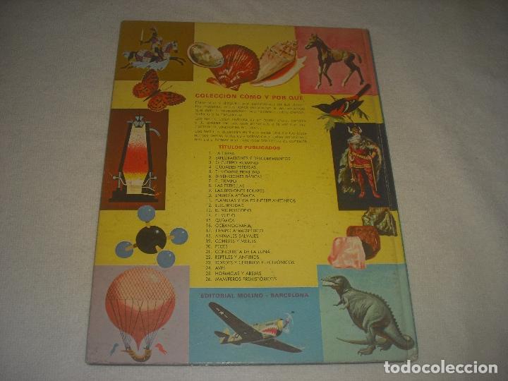 Libros de segunda mano: COMO Y POR QUE DE LOS PECES N. 20. ED.MOLINO - Foto 2