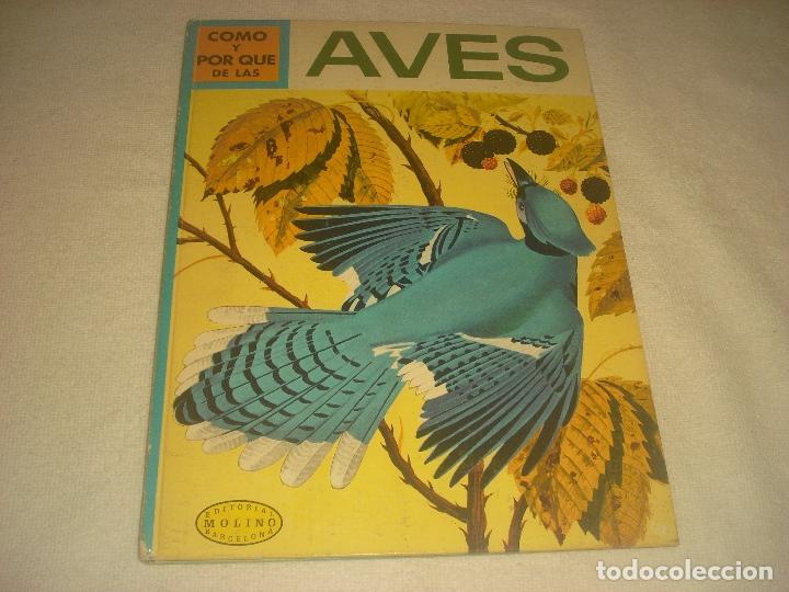 Libros de segunda mano: COMO Y POR QUE DE LAS AVES N. 24. ED.MOLINO - Foto 1