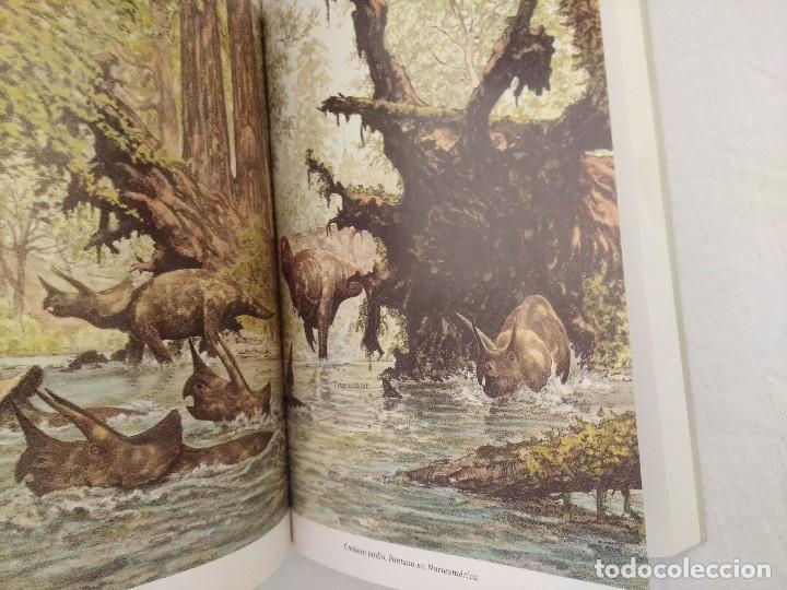 Libros de segunda mano: LIBRO/EL ENIGMA DE LOS DINOSAURIOS/JOHN NOBLE. - Foto 3