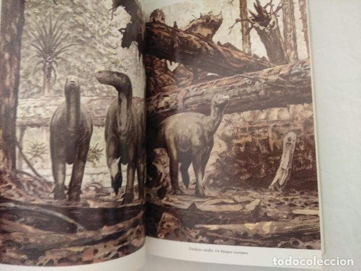Libros de segunda mano: LIBRO/EL ENIGMA DE LOS DINOSAURIOS/JOHN NOBLE. - Foto 4