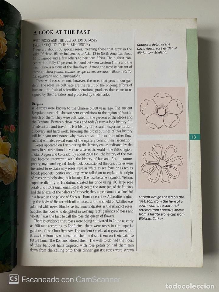 Libros de segunda mano: ROSES. ORIETTA SALA. A FIREFLY GUIDE. 2003. PAGS: 303. EN INGLES. - Foto 4