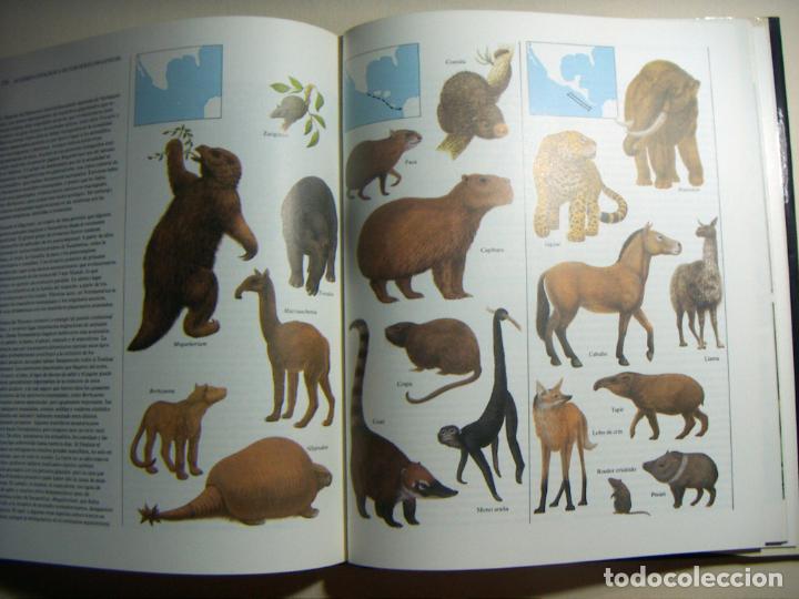 Libros de segunda mano: El Origen de las Especies Charles Darwin 1&ordf; edici&oacute;n 1983. Ediciones Serbal - Foto 4
