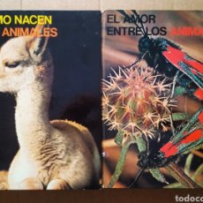 Libros de segunda mano: LOTE CÓMO NACEN LOS ANIMALES/EL AMOR ENTRE LOS ANIMALES (FERNI, 1975). POR BERNARD GAUDIN.. Lote 211885720