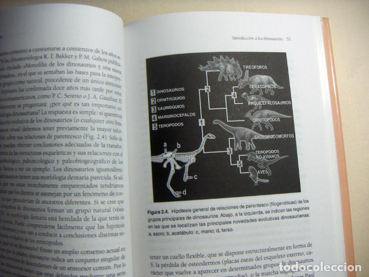Libros de segunda mano: DINOSAURIOS LOS SE&Ntilde;ORES DEL PASADO - Jos&eacute; Luis Sanz - Foto 2