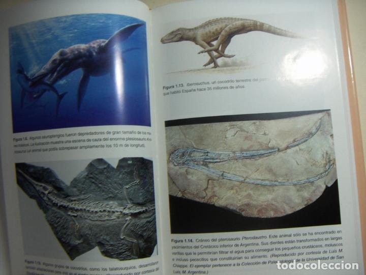 Libros de segunda mano: DINOSAURIOS LOS SE&Ntilde;ORES DEL PASADO - Jos&eacute; Luis Sanz - Foto 4