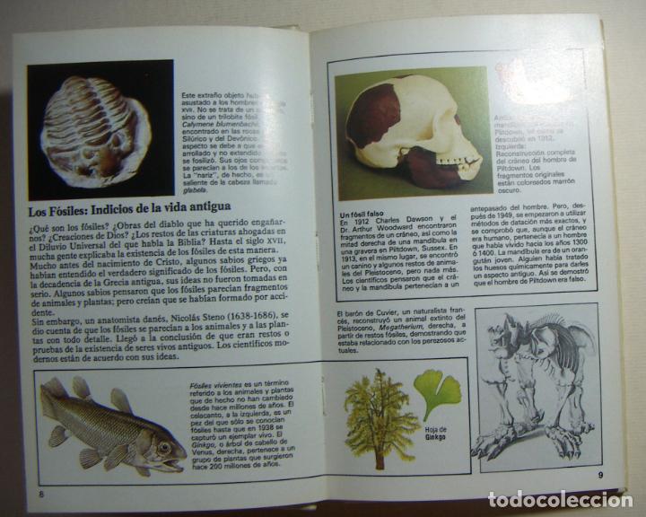 Libros de segunda mano: Los f&oacute;siles - Mark Lambert - Foto 2