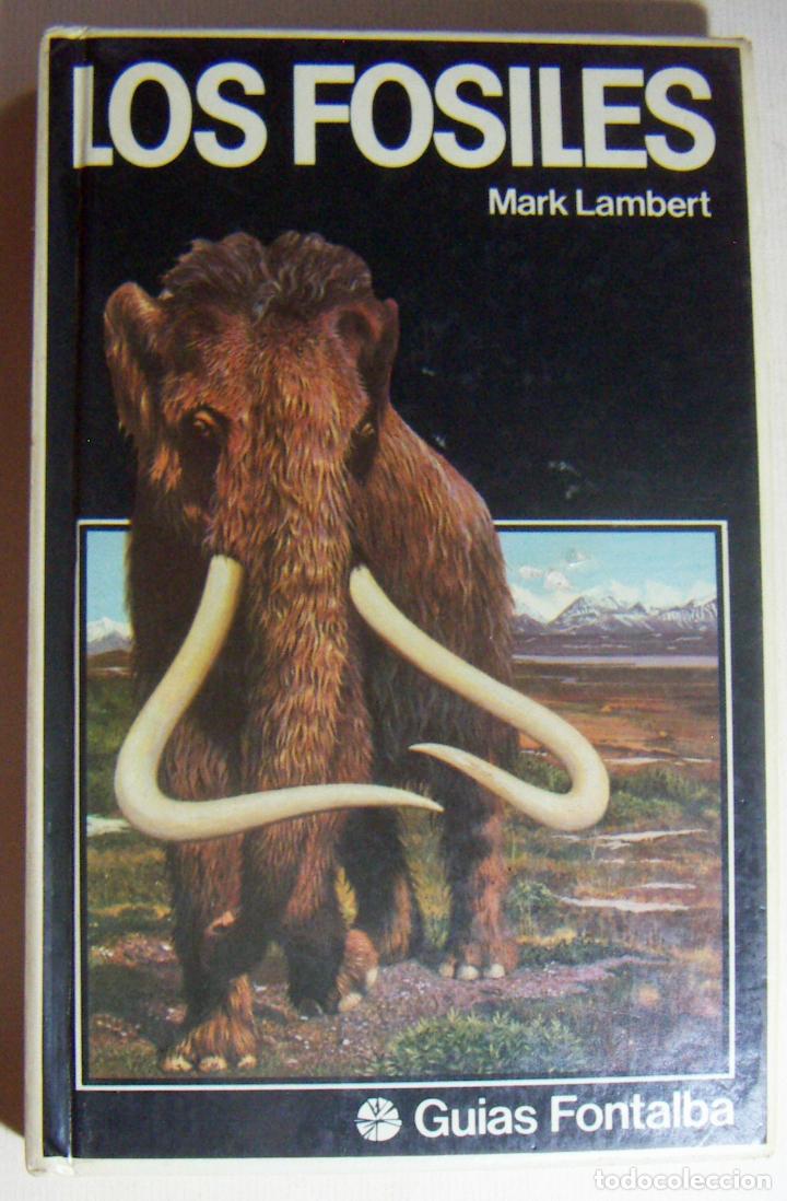 Libros de segunda mano: Los f&oacute;siles - Mark Lambert - Foto 1