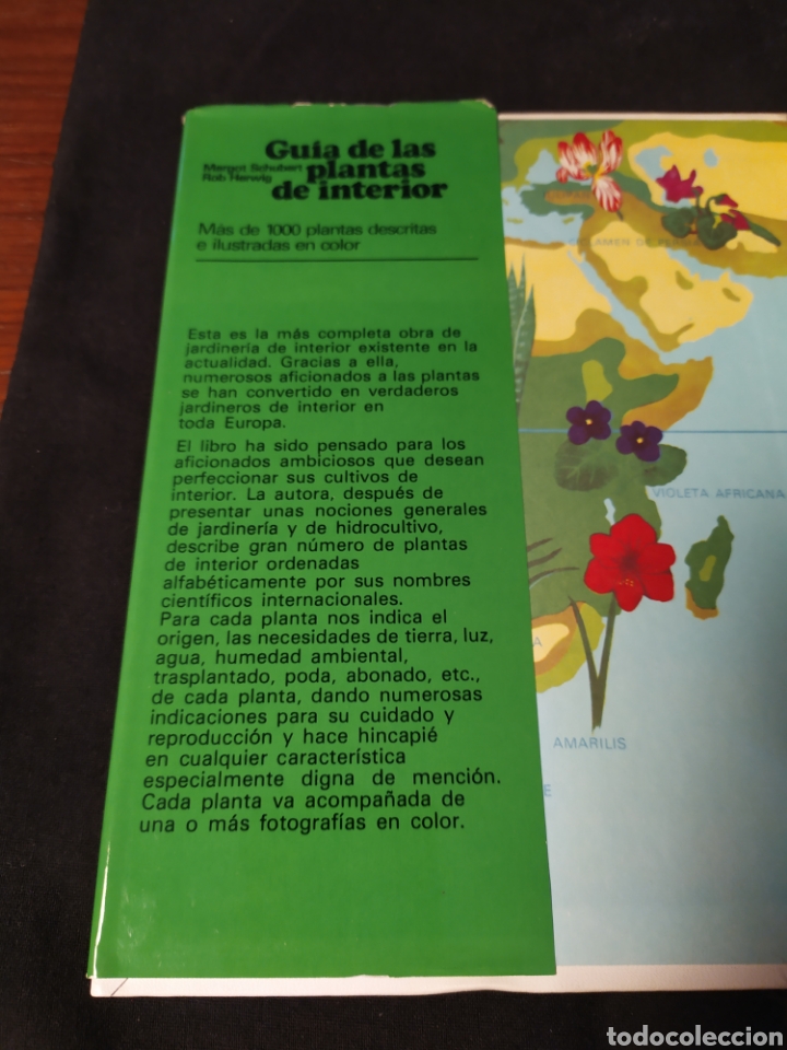 Libros de segunda mano: Gu&iacute;a de las plantas de interior. Margot Schubert, Rob Herwig - Foto 5