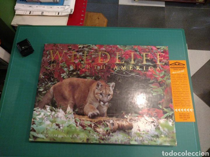 Libri di seconda mano: WILDLIFE OF NORTH AMERICA POR TOHOMAS A. LEWIS KONEMANN .