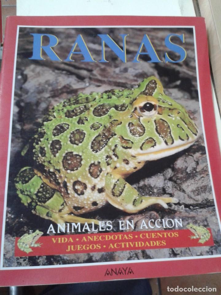 Libros de segunda mano: RANAS. ANIMALES EN ACCION - Foto 1