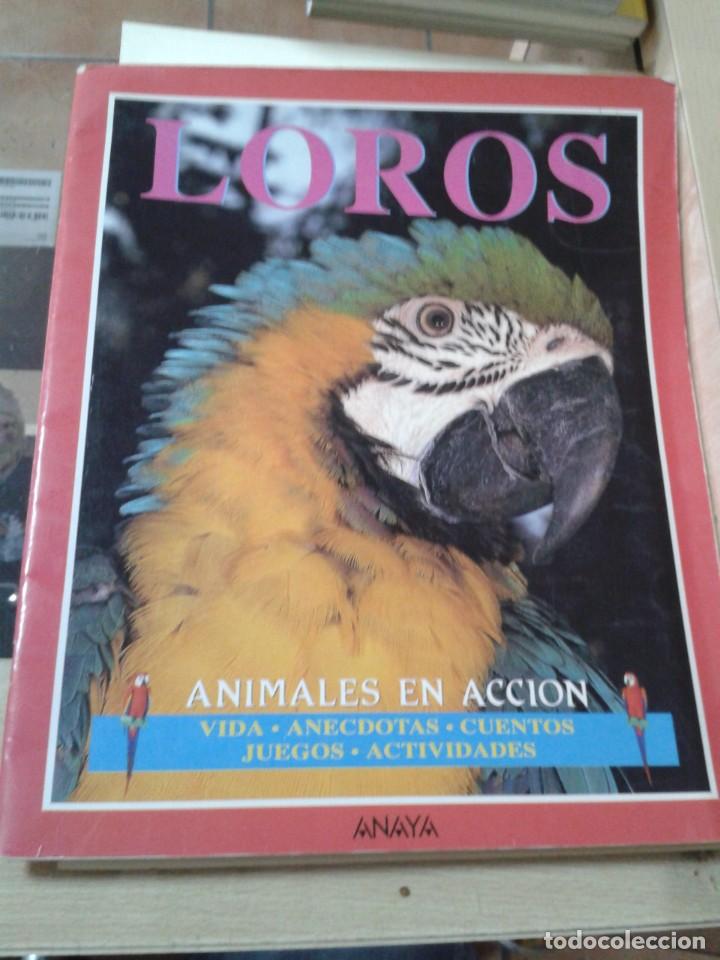 Libros de segunda mano: LOROS. ANIMALES EN ACCION - Foto 1