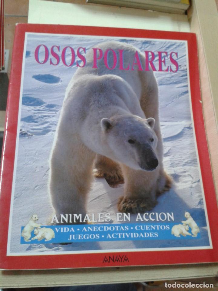 Libros de segunda mano: OSOS POLARES. ANIMALES EN ACCION - Foto 1