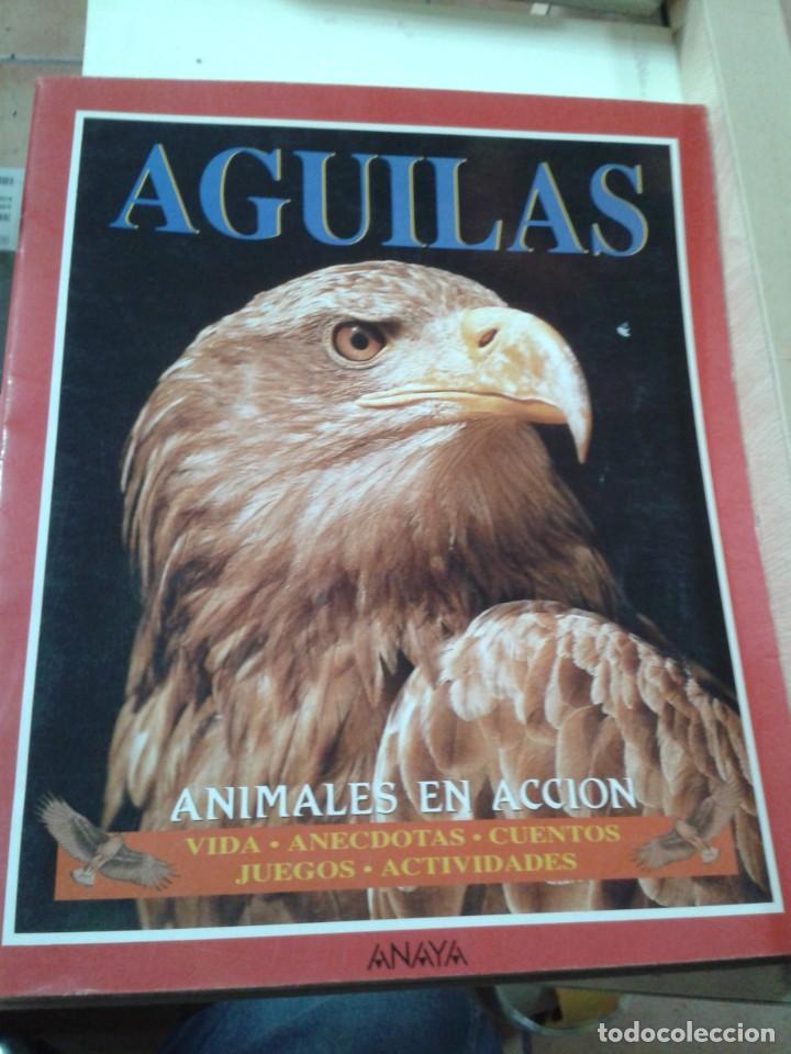 Libros de segunda mano: AGUILAS. ANIMALES EN ACCION - Foto 1