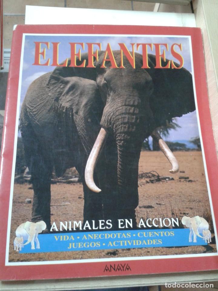 Libros de segunda mano: ELEFANTES. ANIMALES EN ACCION - Foto 1