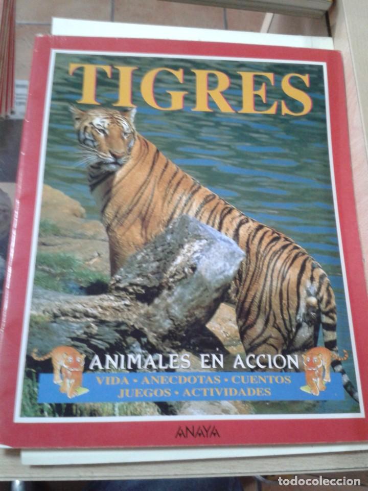 Libros de segunda mano: TIGRES. ANIMALES EN ACCION - Foto 1