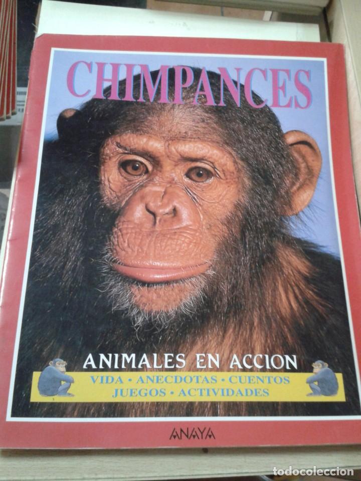 Libros de segunda mano: CHIMPANCES. ANIMALES EN ACCION - Foto 1