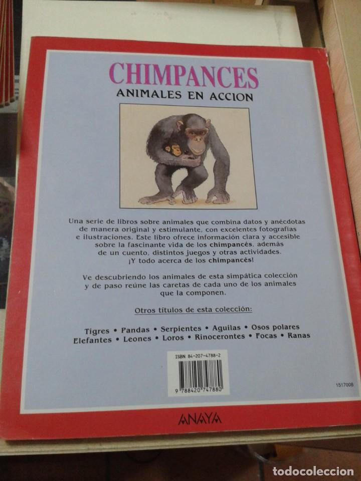 Libros de segunda mano: CHIMPANCES. ANIMALES EN ACCION - Foto 2