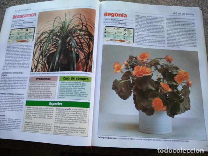 Libros de segunda mano: PLANTAS DE INTERIOR -- 3 TOMOS -- PLANETA 1987 -- - Foto 2