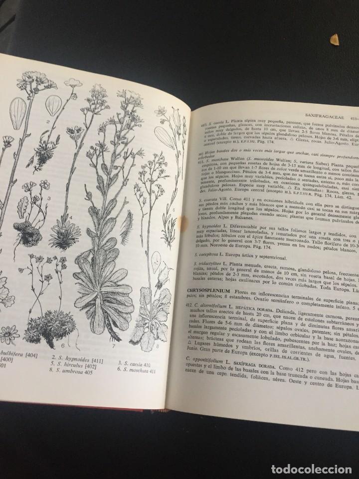 Libros de segunda mano: GUIA DE CAMPO DE LAS FLORES DE EUROPA - OMEGA - Foto 10
