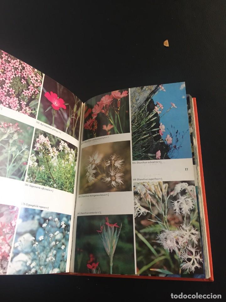 Libros de segunda mano: GUIA DE CAMPO DE LAS FLORES DE EUROPA - OMEGA - Foto 11