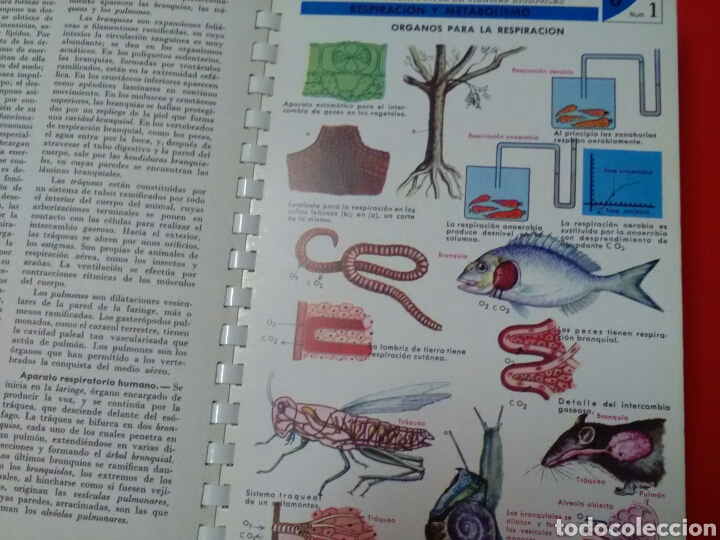 Libros de segunda mano: ATLAS DE BIOLOG&Iacute;A . A.de Haro Vera . Ed.Jover - Foto 2