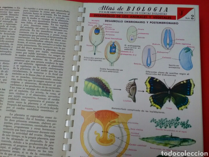 Libros de segunda mano: ATLAS DE BIOLOG&Iacute;A . A.de Haro Vera . Ed.Jover - Foto 3