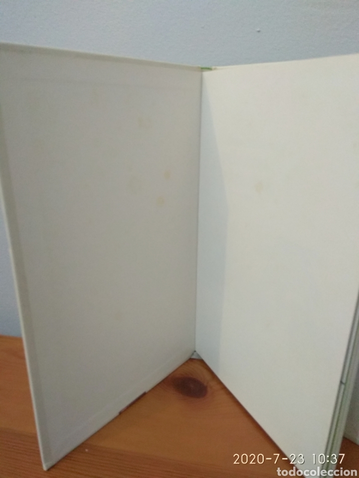 Libros de segunda mano: C&oacute;mo cuidar tus palmeras y helechos - Foto 3