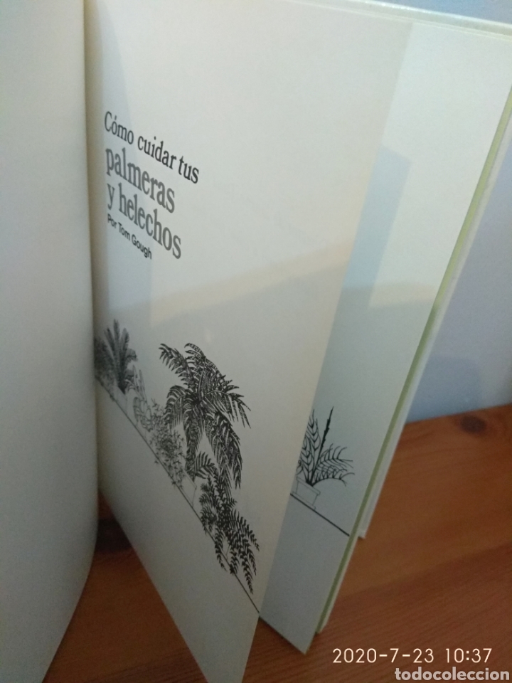 Libros de segunda mano: C&oacute;mo cuidar tus palmeras y helechos - Foto 4